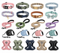 Pet Leashes & Sourcing from China — OEM/ODM & Private Label Supplier/Manufacturer